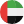 UAE Flag